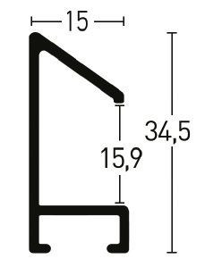 Profiel 51 