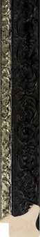 Fenice Ornament Smal Zwart Zilverbies
