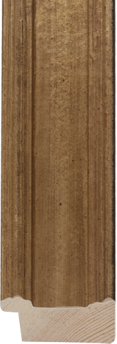 Goud met Zwarte rug