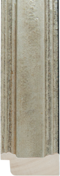 Zilver met Zwarte rug