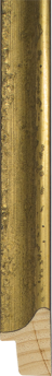 Ferrox Smal Goud