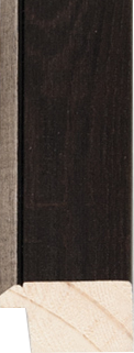 Zwart met Zilver